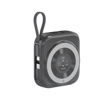 Choetech 10000 mAh LED Display Power Bank for Mobile and Apple Watch Black