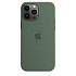 Чехол-накладка Silicone Case (AAA) для iPhone 13 Pro с MagSafe Eucalyptus (ASC13PEUCPT(M))
