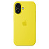 Чохол-накладка Silicone Case (AAA) для iPhone 16 с MagSafe Star Fruit (ASC16STFR(M))